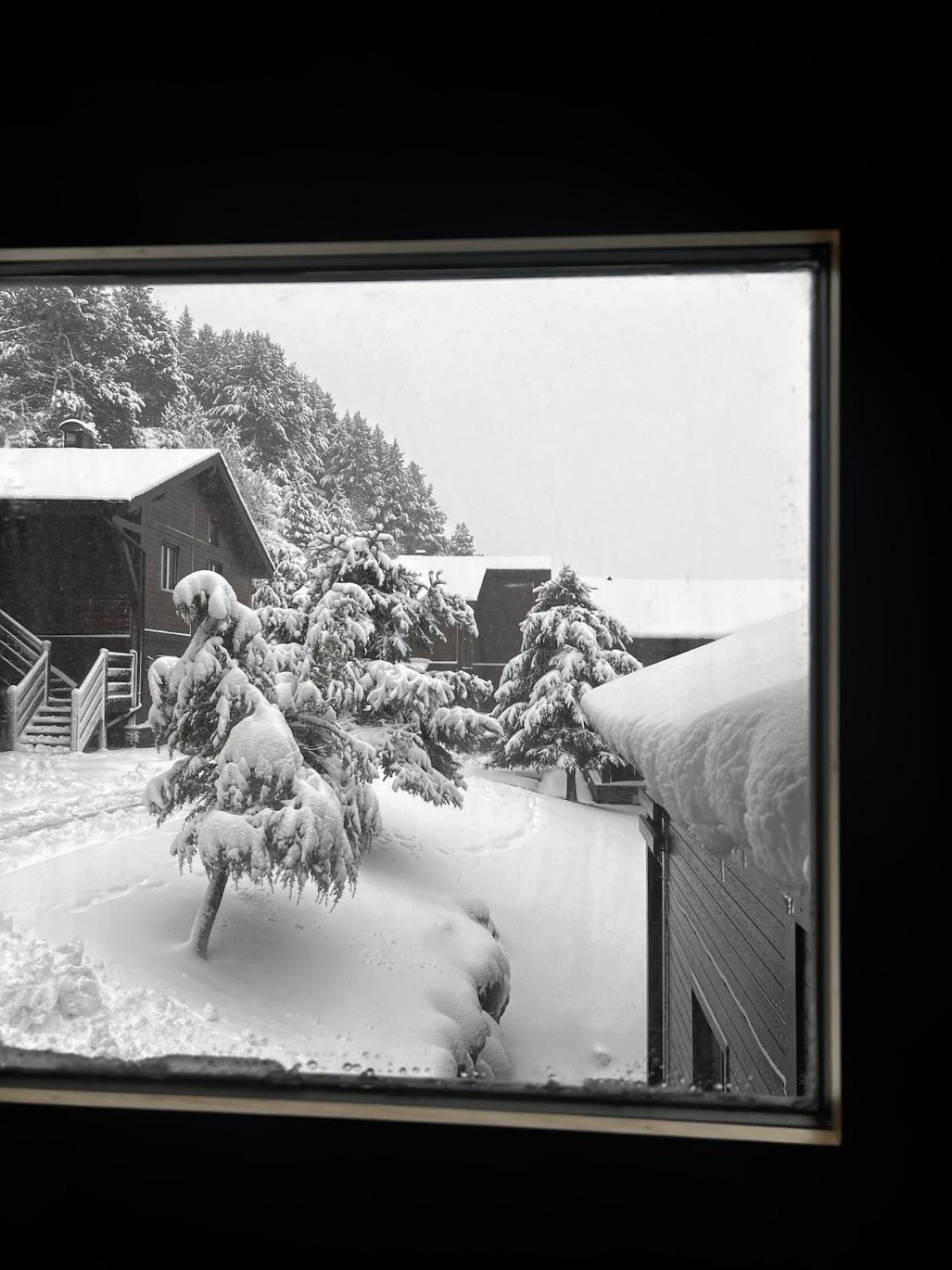 Exclusiva Cabana En Incles - Vistas Al Valle & Pistas De Ski Grandvalira - Free Parking Canillo Exterior photo